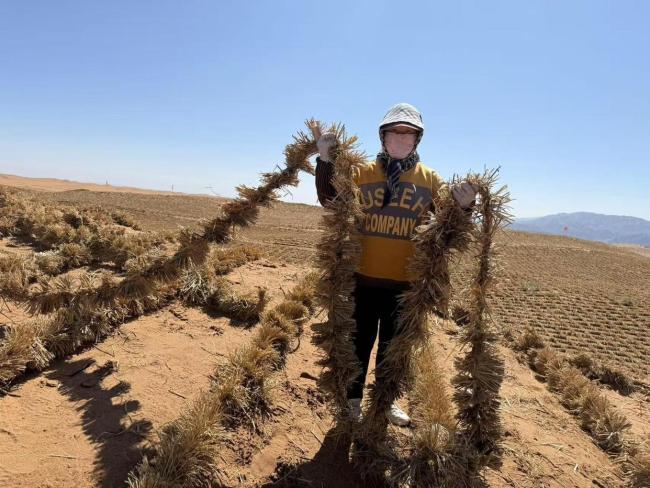 宁夏境内腾格里沙漠锁边完成 绿色长城全线贯通