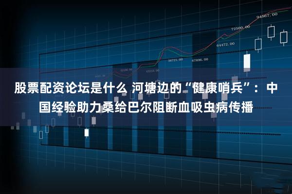 股票配资论坛是什么 河塘边的“健康哨兵”:中国经验助力桑给巴尔阻断血吸虫病传播