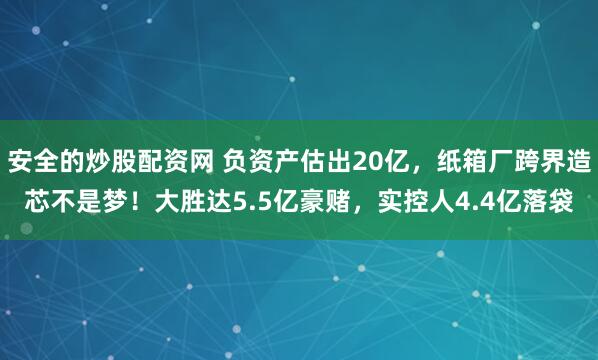 安全的炒股配资网 负资产估出20亿,纸箱厂跨界造芯不是梦!大胜达5.5亿豪赌,实控人4.4亿落袋